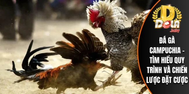 Đá Gà Campuchia
