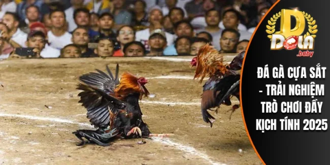 Đá Gà Cựa Sắt